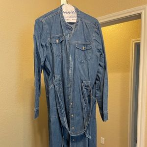 J Crew Denim Dress